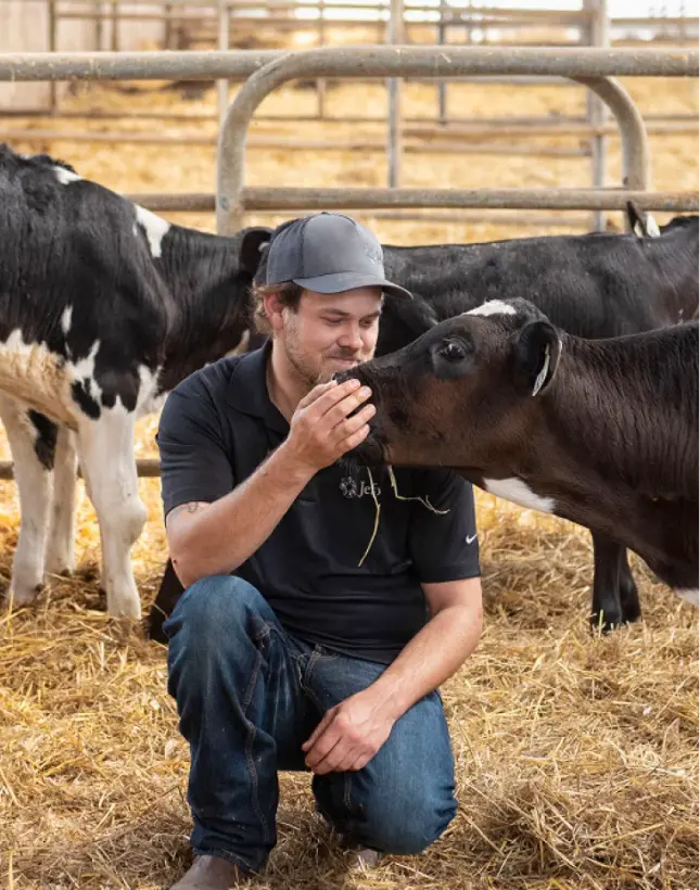 Locapis Location De Vache Laitiere Locaois Prestation 5 2